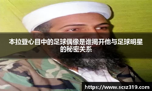 星空.综合体育官网