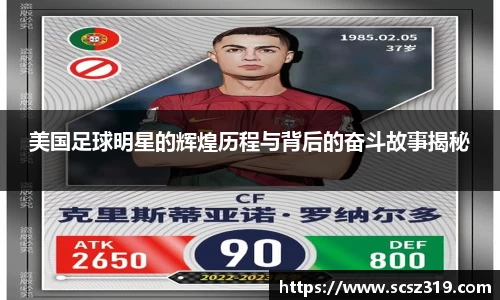 星空.综合体育官网